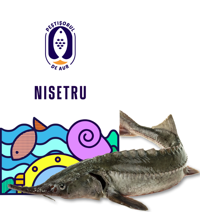 Nisetru