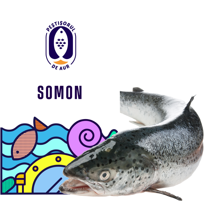 Somon